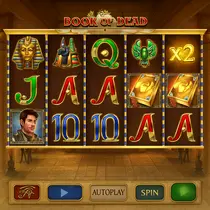 HighFlyBet - Book of Dead Slot Game - Play for Real Money